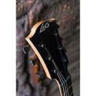 Электрогитара LAG IMPERATOR I66-BLK - Фото 3