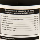 Жиросжигатель SportLine Nutrition Thermo Boost, спортивное питание, 125 капсул - Фото 2