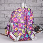 Рюкзак школьный, набор, отдел на молнии, 3 наружных кармана, 2 боковые сетки, с пеналом, цвет фиолетовый - Фото 2