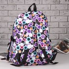 Рюкзак школьный, набор, отдел на молнии, 3 наружных кармана, 2 боковые сетки, с пеналом, цвет разноцветный - Фото 2