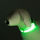 Ошейник с подсветкой, зарядка от USB, размер XS, ОШ 28-38 см, 3 режима, зелёный - Фото 2