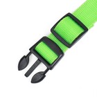 Ошейник с подсветкой, зарядка от USB, размер XS, ОШ 28-38 см, 3 режима, зелёный - Фото 8