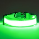 Ошейник с подсветкой, зарядка от USB, размер M, ОШ 37-46 см, 3 режима, зелёный - Фото 4