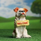 Садовая фигура "Собака с табличкой Welcome" 11*10*19 см МИКС - Фото 1