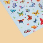 Бумажные наклейки «Бабочки», 11 х 16 см - Фото 3