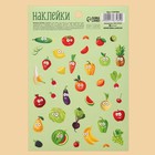 Бумажные наклейки «Живые витаминки», 11 х 16 см - фото 8526015