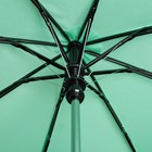 Зонт полуавтоматический «Одуванчики», 3 сложения, 8 спиц, R = 55 см, цвет зелёный - Фото 3