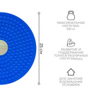 Диск здоровья ONLYTOP, массажный, d=25 см, цвета МИКС - Фото 2