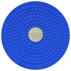 Диск здоровья ONLYTOP, массажный, d=25 см, цвета МИКС - Фото 4