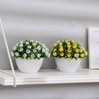 Искусственный цветок в горшке «С цветочными бутонами», 10×11 см, МИКС - Фото 4