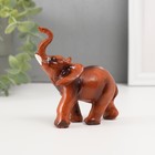 Сувенир полистоун "Индийский слон" 9х8х5 см - Фото 3