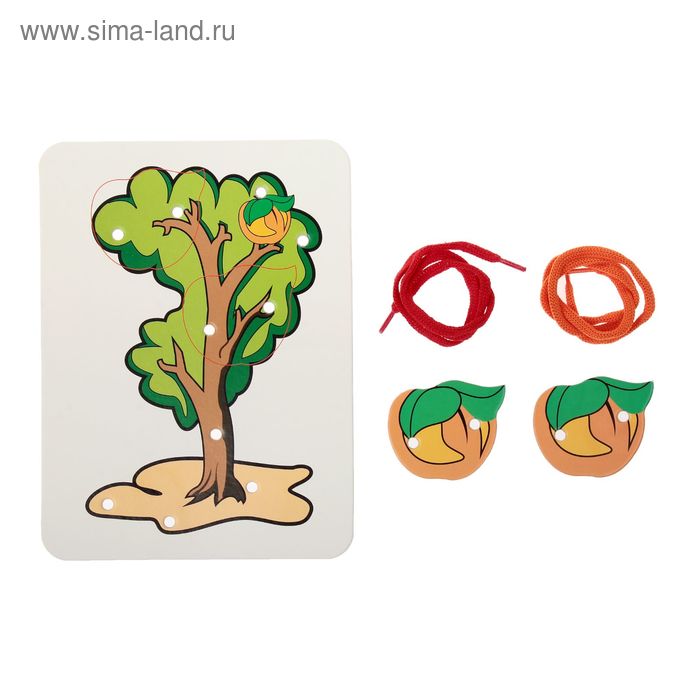 Шнуровка-раскраска "Дерево. 2 абрикоса", поле+2 эл. - Фото 1