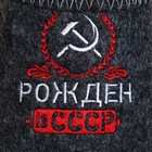 Тапочки банные с вышивкой "Рождён в СССР" - фото 9809250