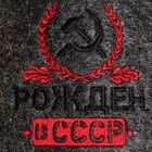 Тапочки банные с вышивкой "Рождён в СССР" - фото 9809254