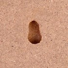 УЦЕНКА Панно на стену «Макет оружия: сувенирный меч на планшете. Лезвие резное», 41×16.5 см - Фото 5