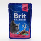 Влажный корм Brit Premium для кошек, курица и индейка, пауч 100 г - Фото 1