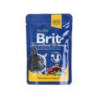 Влажный корм Brit Premium для кошек, курица и индейка, пауч 100 г - Фото 4