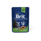 Влажный корм Brit Premium для стерилизованных кошек, курица, пауч 100 г - фото 9722154