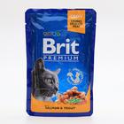 Влажный корм Brit Premium для кошек, лосось и форель, пауч, 100 г - фото 9722155