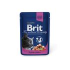 Влажный корм Brit Premium для кошек, лосось и форель, пауч, 100 г - фото 9722158