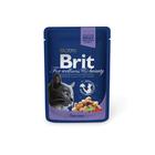 Влажный корм Brit Premium для кошек, треска, пауч, 100 г - Фото 4