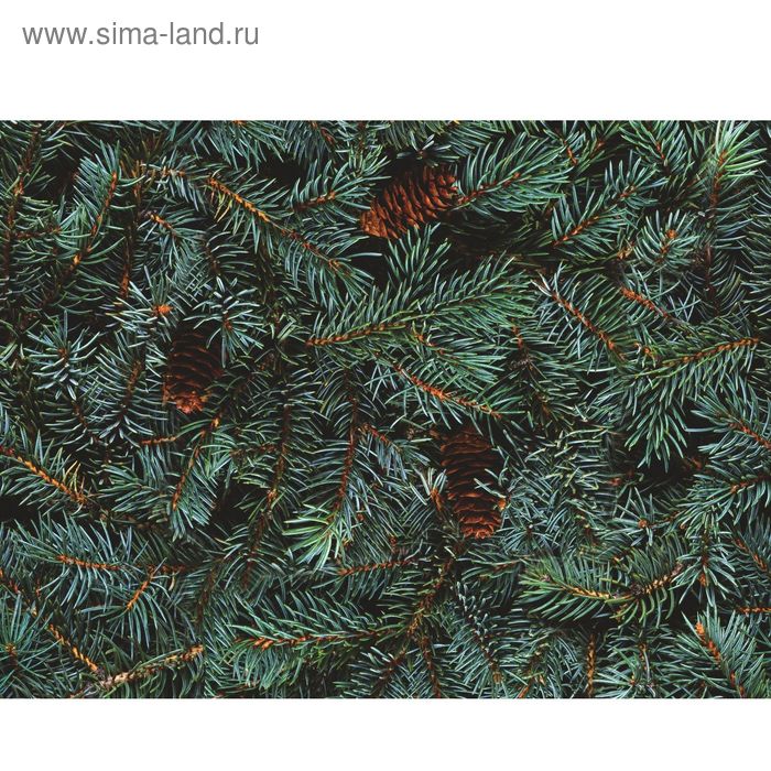 Стеклянный фартук закаленное стекло М1 "Ель", 600х800х4 - Фото 1