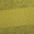 Комплект махровых полотенец в коробке Fidan Soffi, размер 50х90 см, 70х130 см, цвет зелёный, бамбук - Фото 4