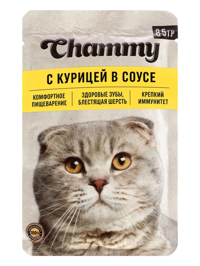 Влажный корм Chammy для кошек, курица, кусочки в соусе, пауч, 85 г - Фото 1