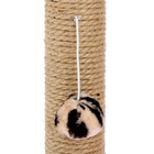 Когтеточка «Столбик» с двумя грибами, джут 43×36×31 см, МИКС ЦВЕТОВ - Фото 5