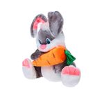 Мягкая игрушка "Заяц с морковкой", 57 см, МИКС - Фото 2