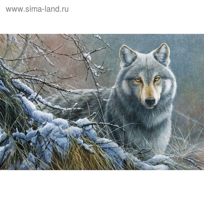 Картина на холсте Канвас Постер "Серый волк" 60/90 - Фото 1