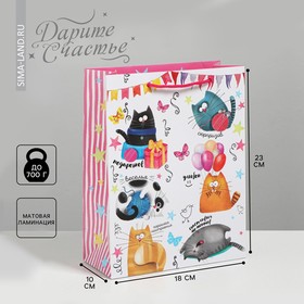 Пакет ламинированный вертикальный «Забавные коты», MS 18 × 23 × 10 см