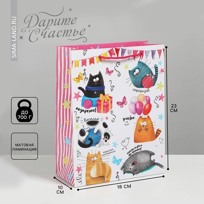 Пакет подарочный ламинированный вертикальный, упаковка, «Забавные коты», MS 18 х 23 х 10 см