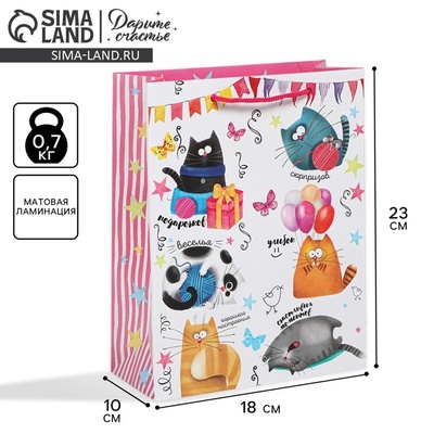 Пакет подарочный ламинированный, упаковка, «Забавные коты», MS 18×23×10 см