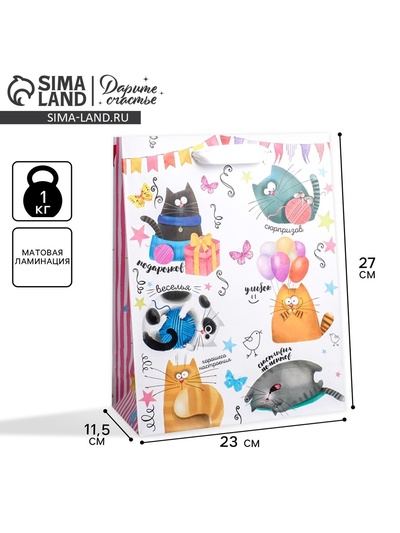Пакет подарочный ламинированный, упаковка, «Забавные коты», ML 23 х 27 х 11.5 см