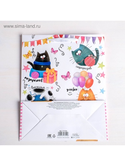 Пакет подарочный ламинированный, упаковка, «Забавные коты», ML 23×27×11.5 см