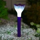 Садовый светильник на солнечной батарее Purple crocus, серия Classic - фото 10827435