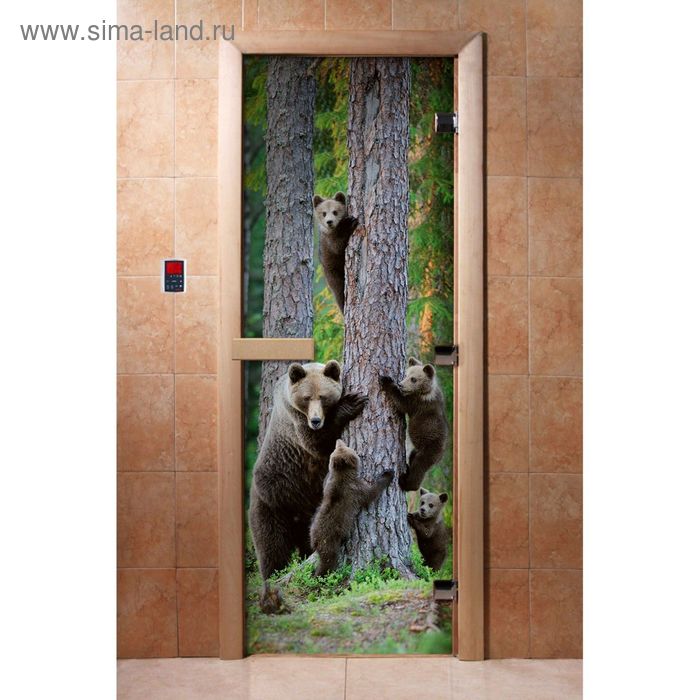 Дверь с фотопечатью, стекло 8 мм, размер коробки 190 × 70 см, правая, цвет А064 - Фото 1