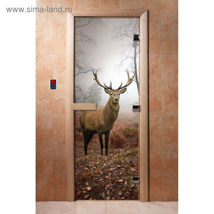 Дверь с фотопечатью, стекло 8 мм, размер коробки 190 × 70 см, правая, цвет А080 - Фото 1