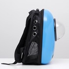 Рюкзак для переноски кошек и собак, с окном, 32 х 22 х 43 см, голубой - Фото 3