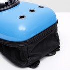 Рюкзак для переноски кошек и собак, с окном, 32 х 22 х 43 см, голубой - Фото 9