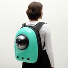 Рюкзак для переноски кошек и собак, с окном, 32 х 25 х 42 см, мятный - Фото 13