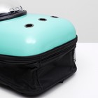 Рюкзак для переноски кошек и собак, с окном, 32 х 25 х 42 см, мятный - Фото 9