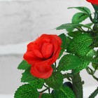 Бонсай "С розами" 5,5*8*14 см  МИКС - Фото 2