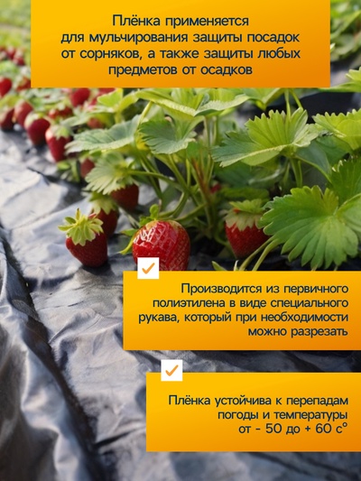 Плёнка полиэтиленовая, техническая, 80 мкм, чёрная, длина 10 м, ширина 3 м, рукав (1.5 м × 2), Эконом 50%, Greengo