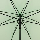 Зонт полуавтоматический «Однотонный», 8 спиц, R = 46 см, цвет зелёный - Фото 3