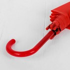 Зонт - трость полуавтоматический «Однотонный», 8 спиц, R = 46 см, цвет красный - Фото 4