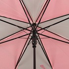 Зонт - трость полуавтоматический «Цветы», 8 спиц, R = 55 см, цвет розовый - Фото 3
