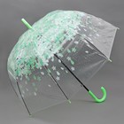 Зонт - трость полуавтоматический «Цветы», 8 спиц, R = 40 см, цвет зелёный - Фото 1