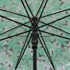 Зонт - трость полуавтоматический «Цветы», 8 спиц, R = 40 см, цвет зелёный - Фото 3